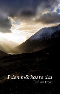 i-den-morkaste-dal
