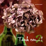 Tänk om…! 2