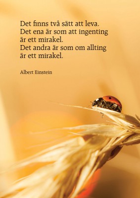 Vykort, strå 1